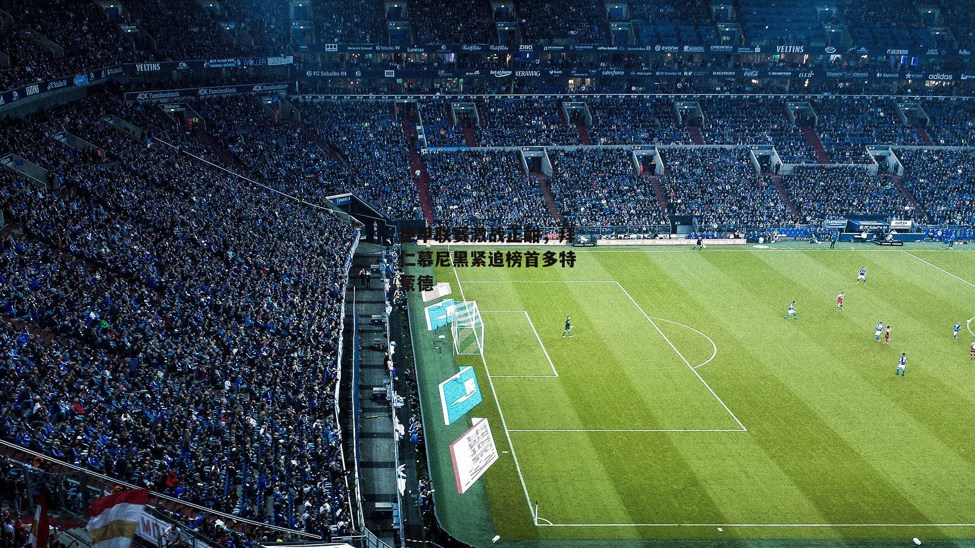 德甲联赛激战正酣，拜仁慕尼黑紧追榜首多特蒙德