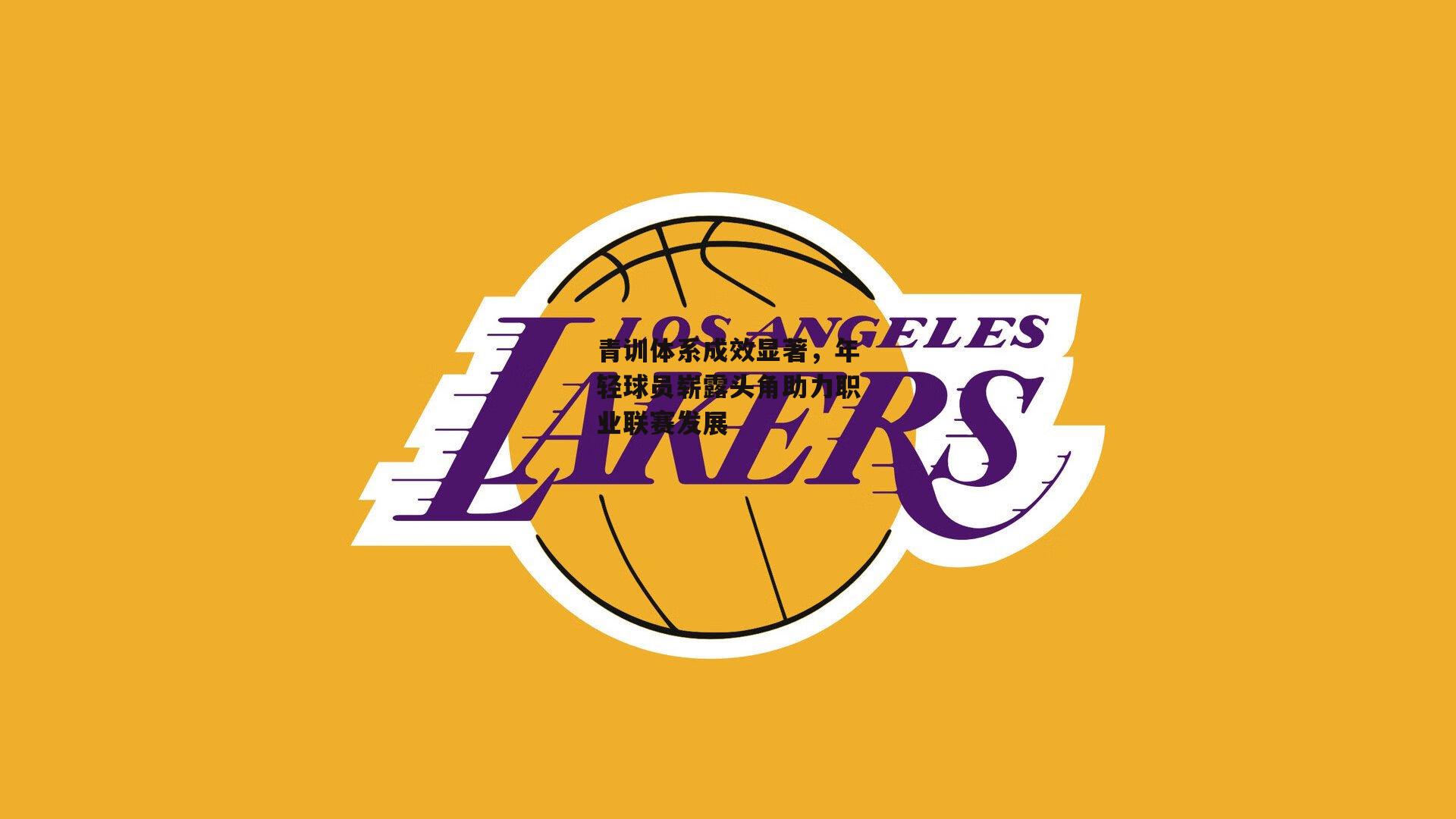 青训体系成效显著，年轻球员崭露头角助力职业联赛发展